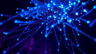 青く光るファイバーオプティックケーブル。高速インターネット回線のイメージ